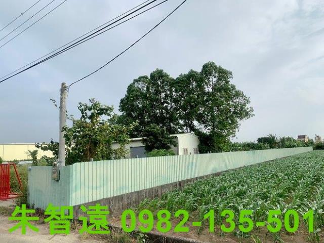 台南善化農作室-4