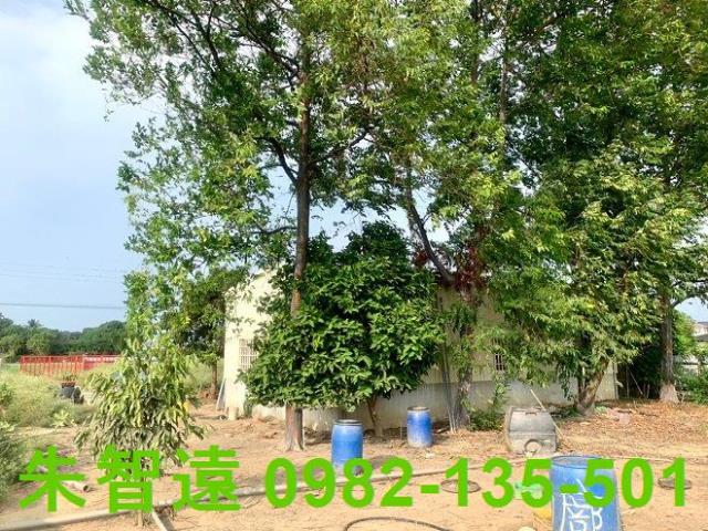 台南善化農作室-7