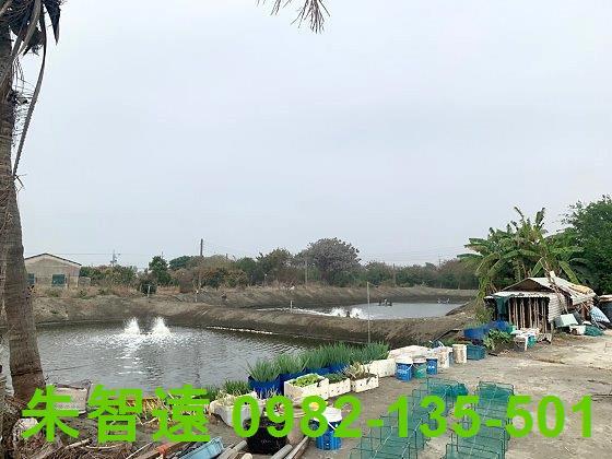 台南農地-3