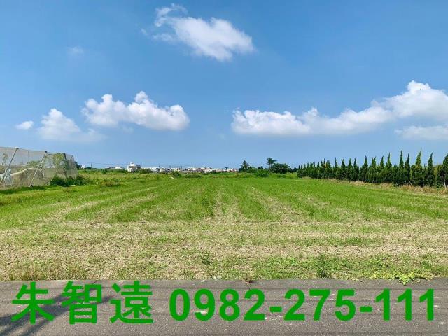 高雄湖內農地-9