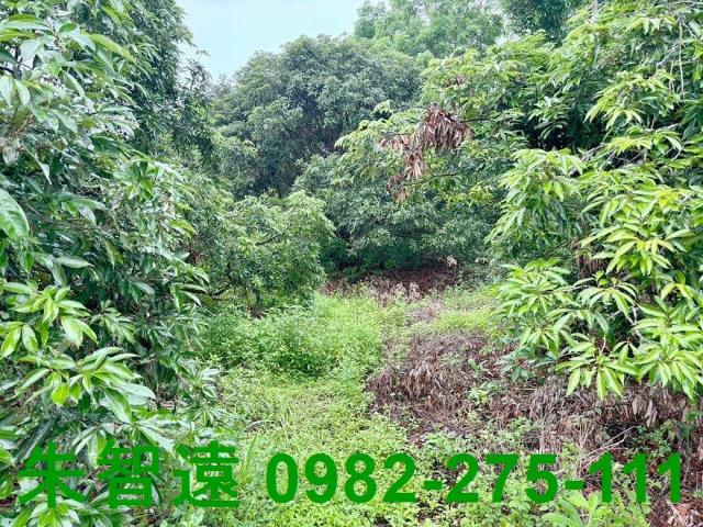 台南南化農地-9