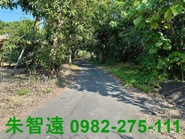 台南楠西農地-5