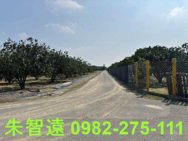 麻豆農地-9