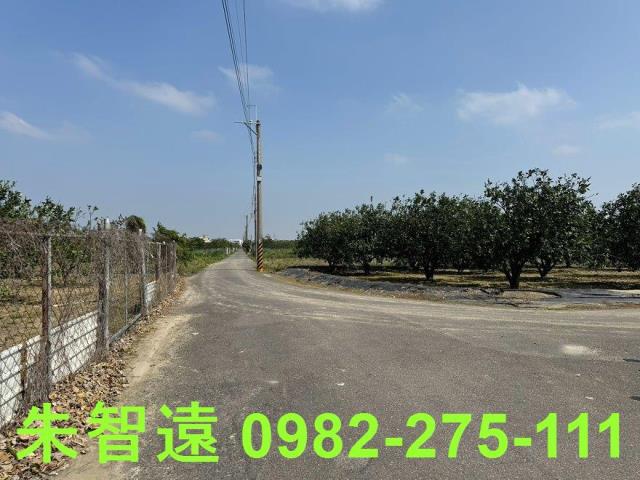 麻豆農地-10