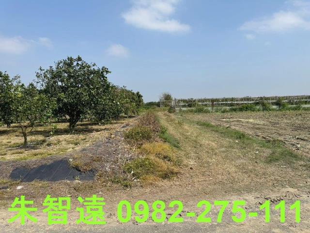 麻豆農地-2