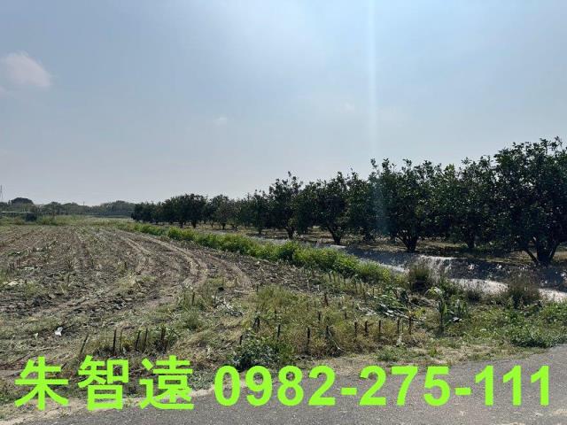 麻豆農地-7