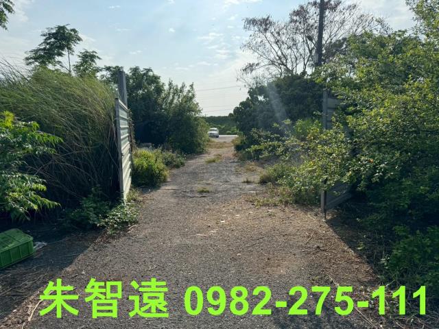 安南農地-14