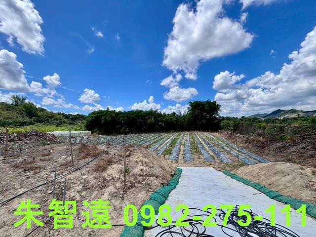 玉井農地-10