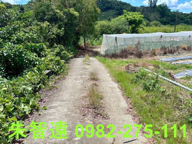 玉井農地-11