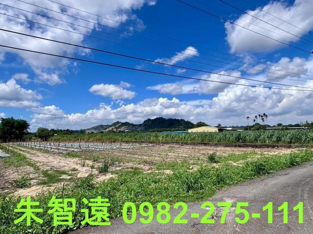 玉井農地-4