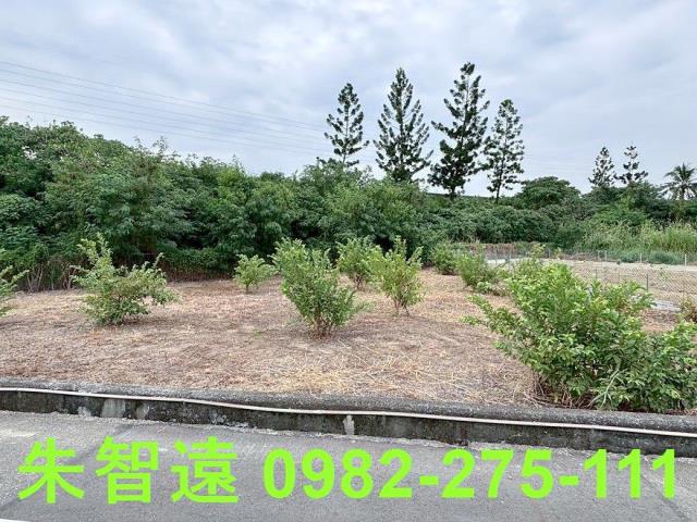 新化農地-2