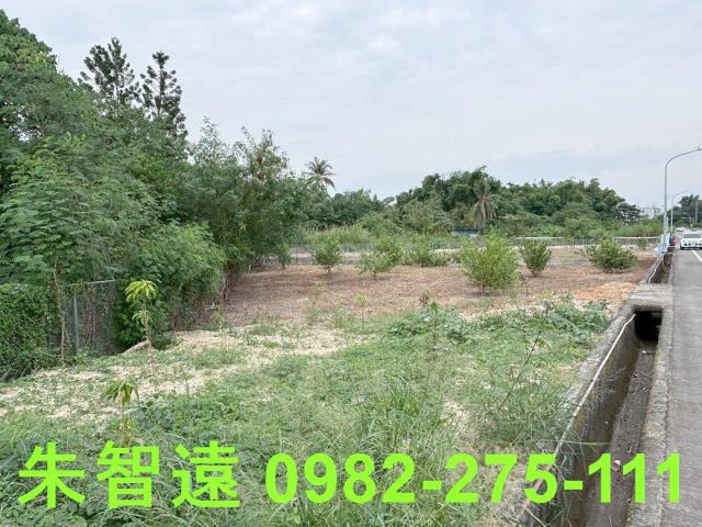 新化農地-4