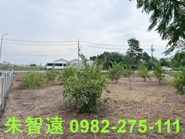 新化農地-6