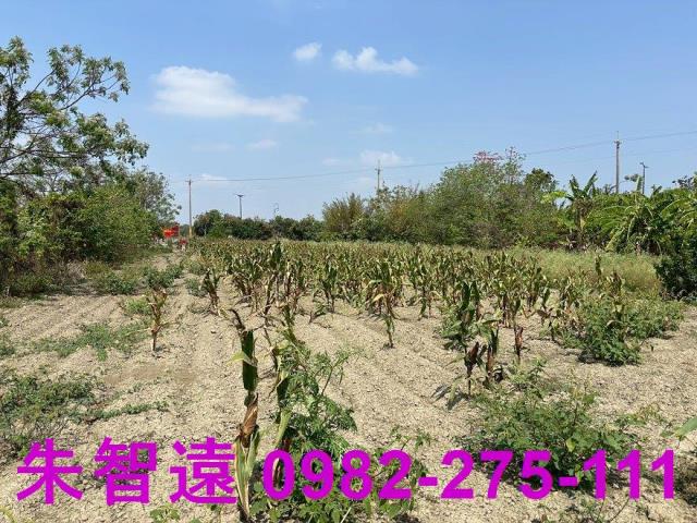 善化農地-6